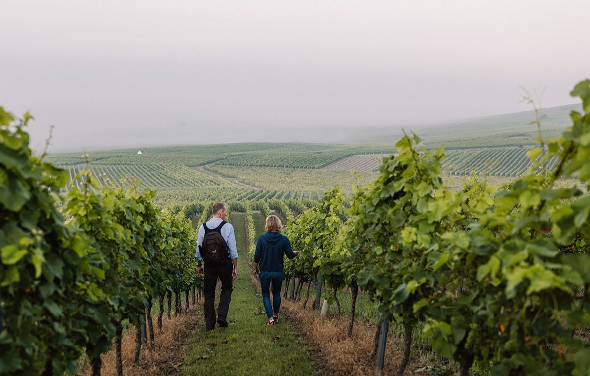 Wanderurlaub Rheinhessen