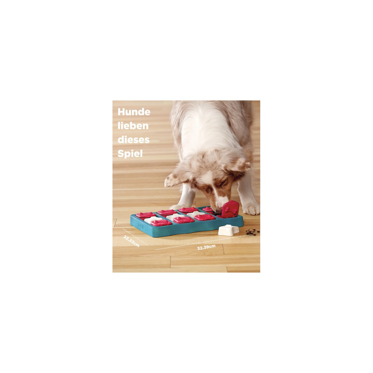 Nina Ottosson Dog Brick Intelligenzspielzeug