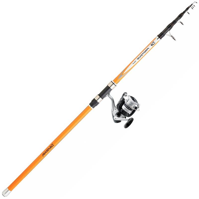 Ensemble Posé Daiwa Set Tele Poser 02