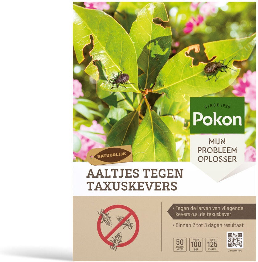 Pokon aaltjes tegen taxuskever 100 m2