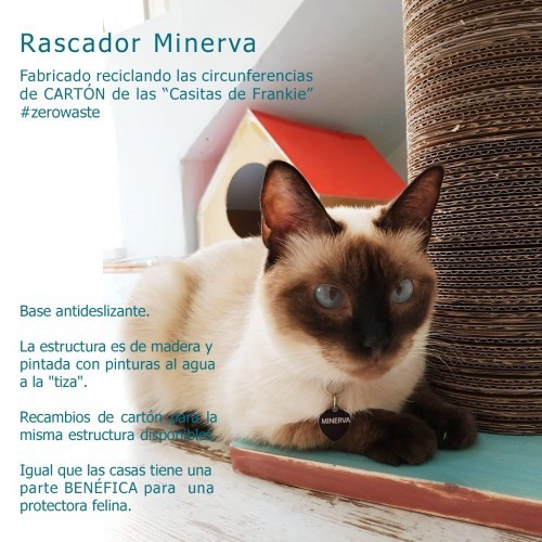 Raspador ecológico Minerva em marrom, turquesa e madeira.