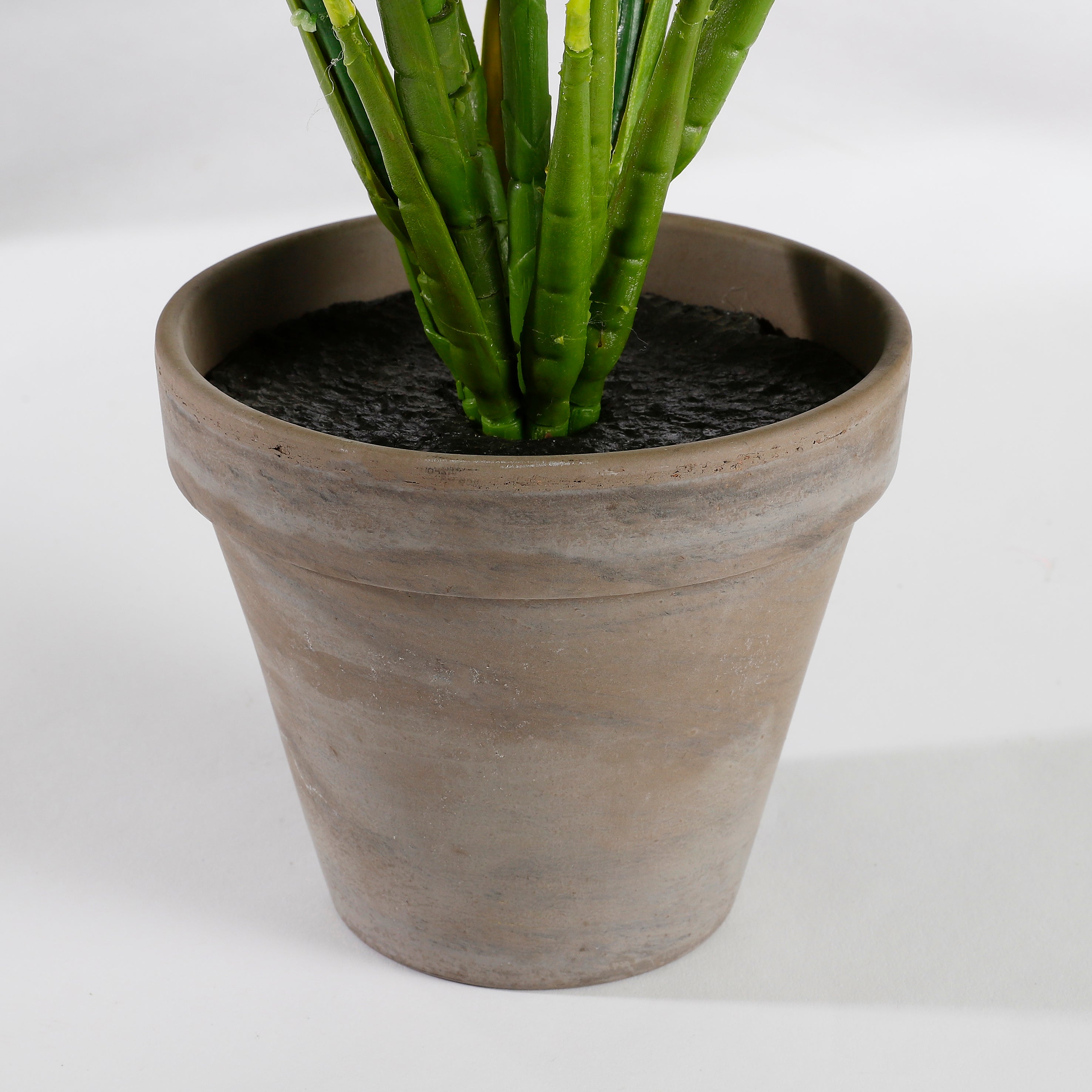 Mica Decorations Evergreen in pot Stan grijs d13,5cm - h49xd40cm