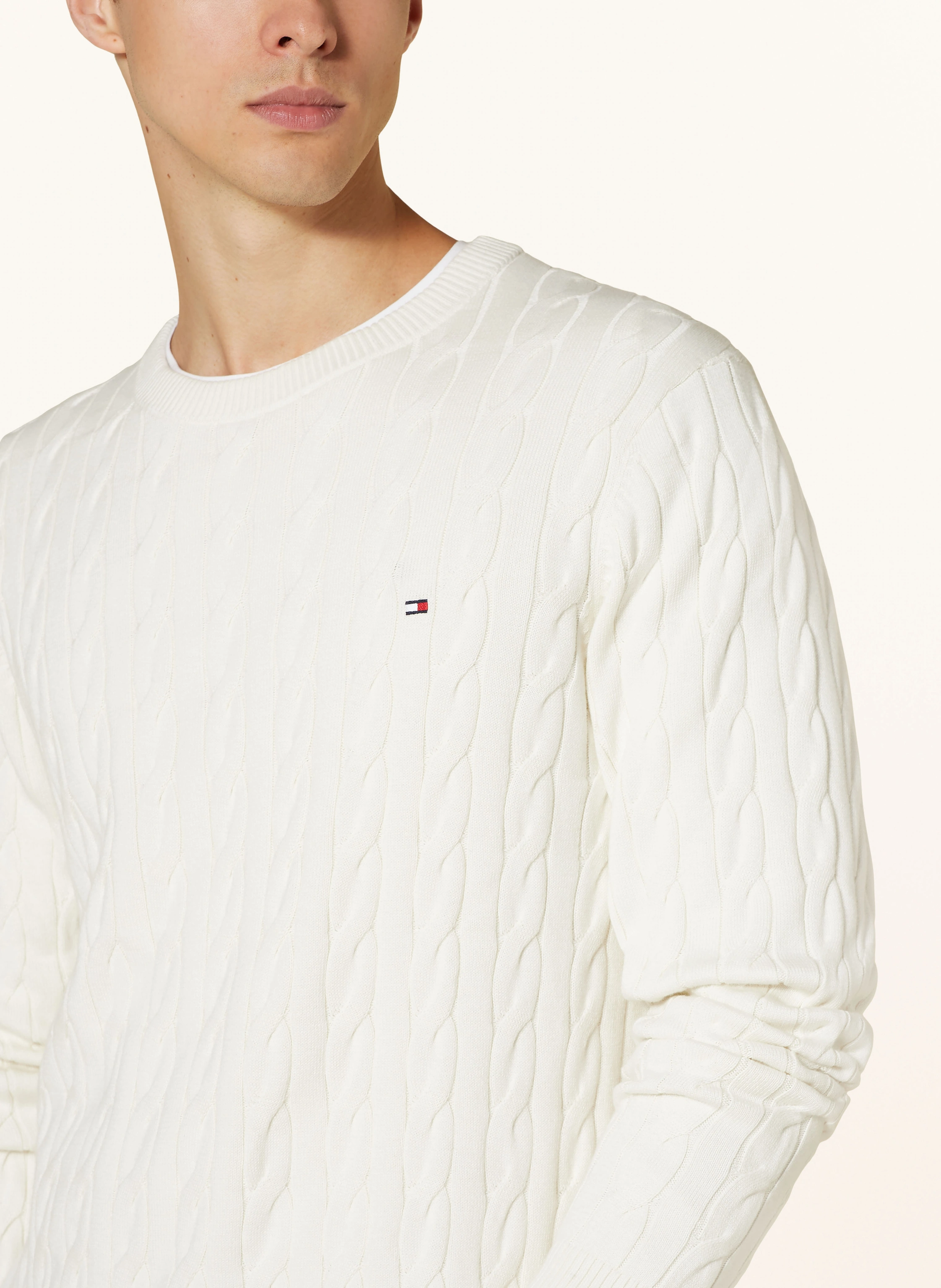 TOMMY HILFIGER Pullover