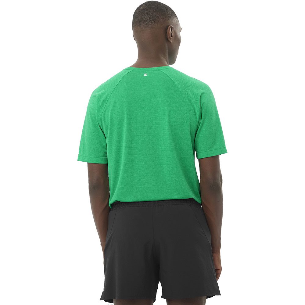 Salomon SHAKEout CORE T-Shirt Herren parakeet