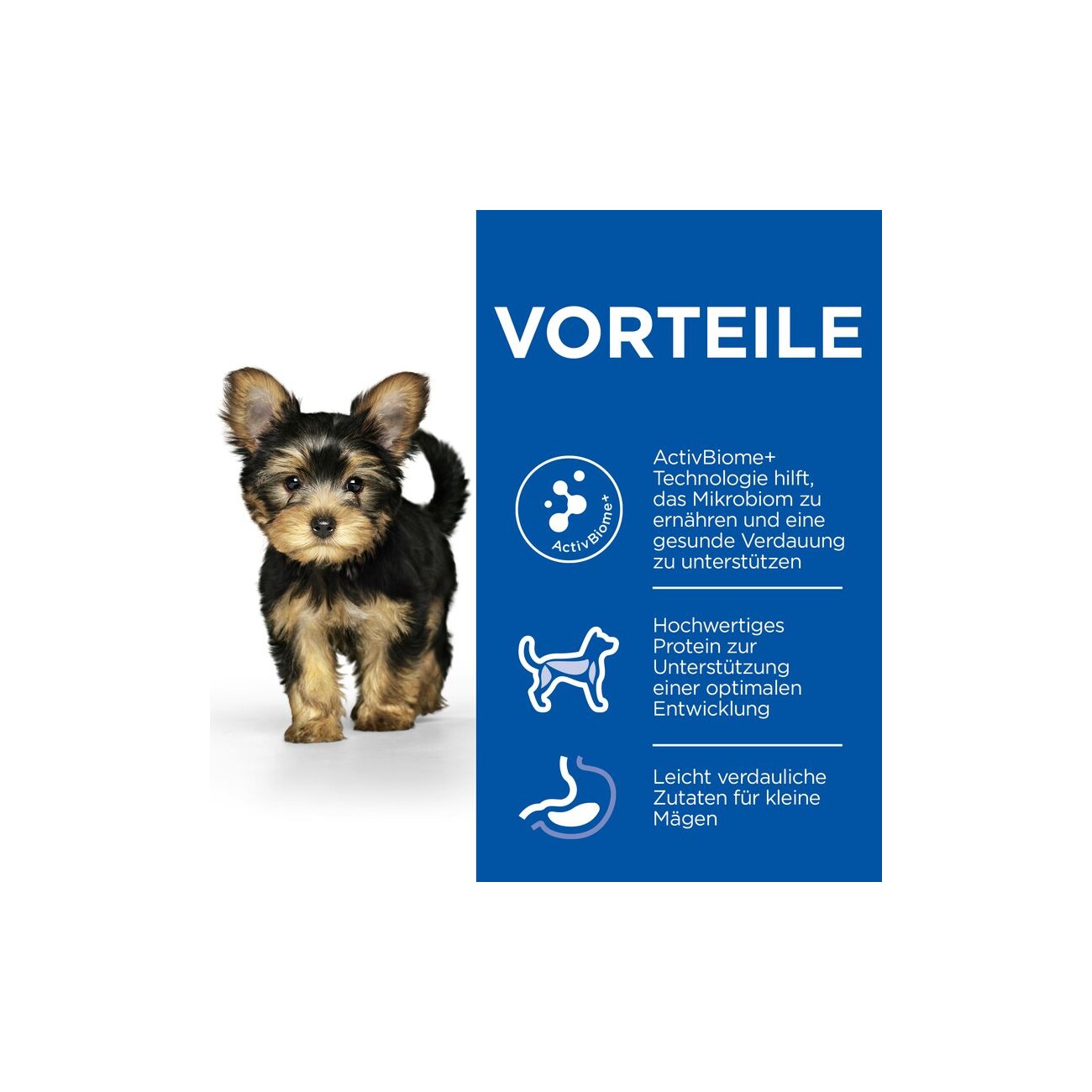 Hill's Science Plan Perfect Digestion Puppy Small & Mini mit Huhn und Reis 1,5 kg