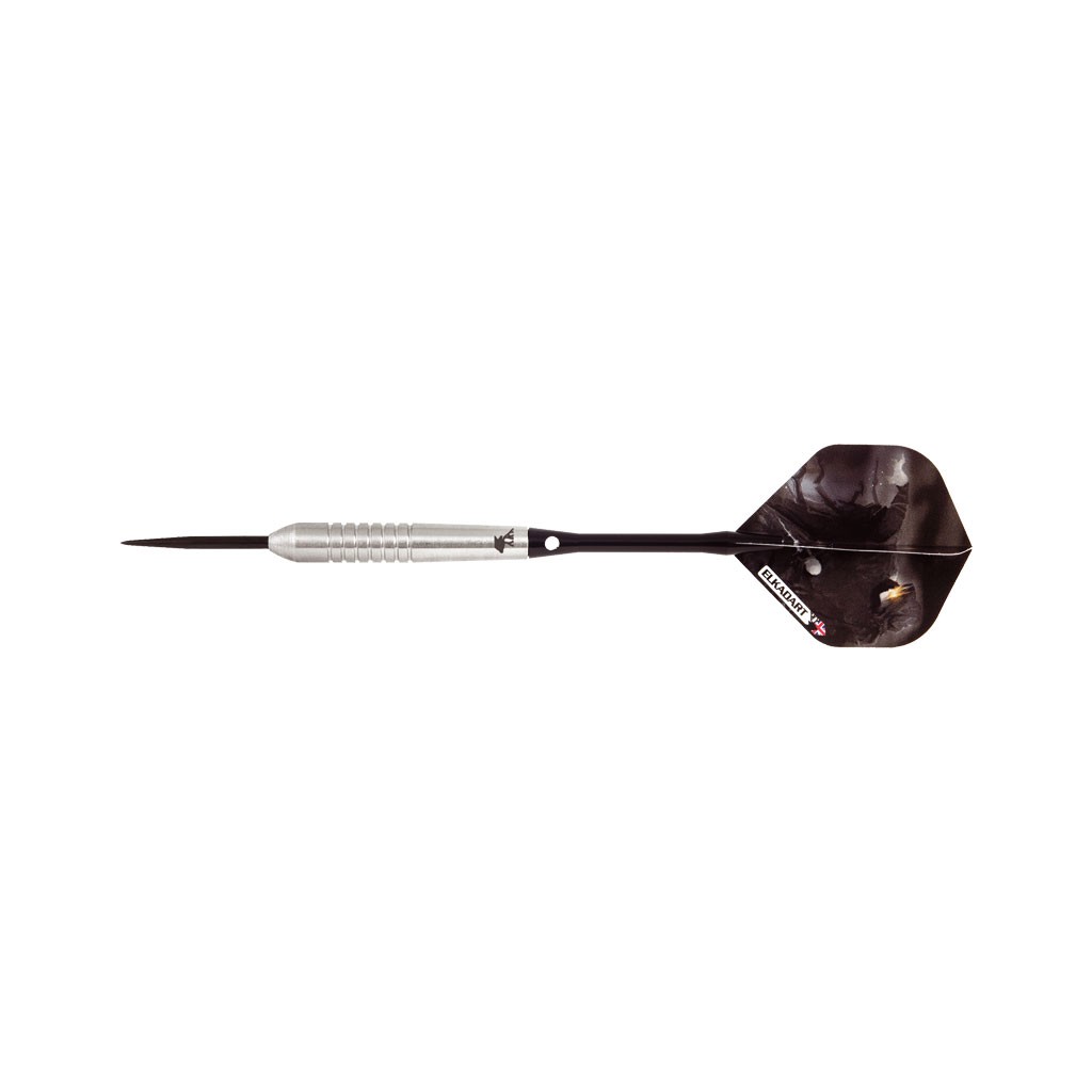 Fléchettes Wizard tungstène 24g ( pointes acier )