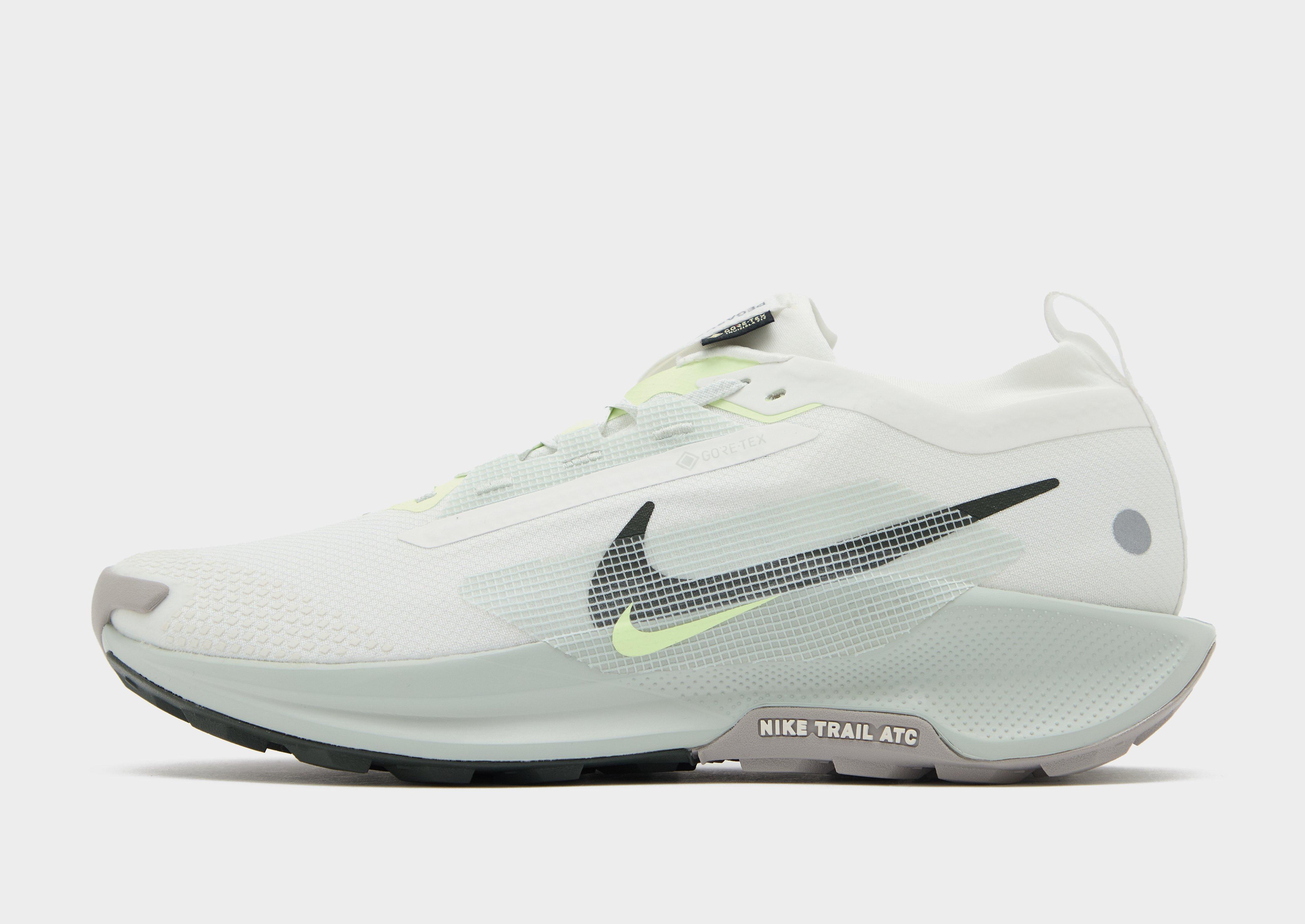 Nike Pegasus Trail 5 GORE-TEX Homme