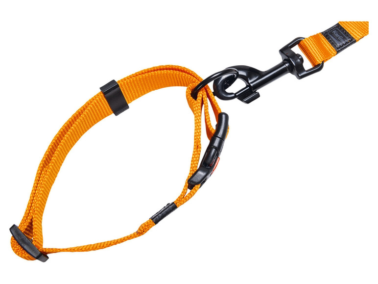 Halsband met lijn
