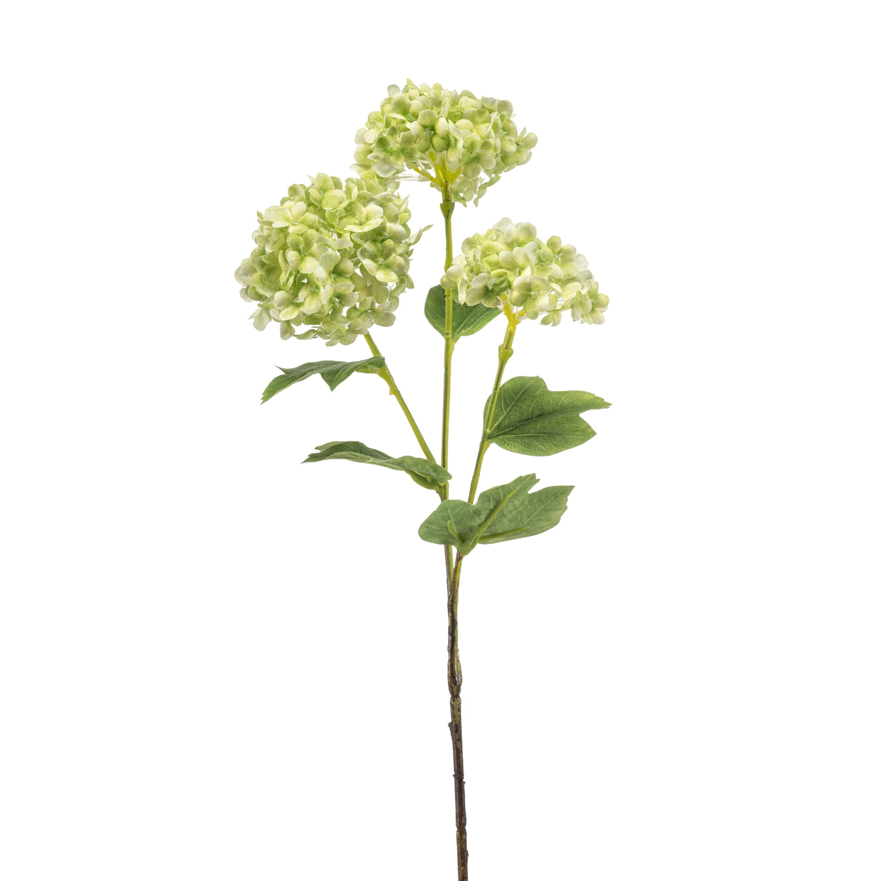 Fleurdirect Kunstbloem Vibumum Groen -  - 0x60x0cm (BxHxD)