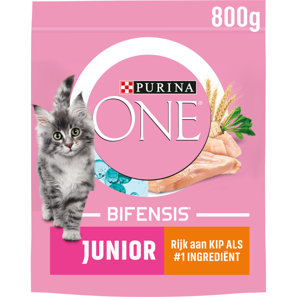 Purina ONE Junior Kip800 gr