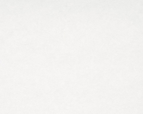 Renovatievlies schildersvlies 2000-13 mastervlies ProProtect 145 g/m² 25 mx 1 m