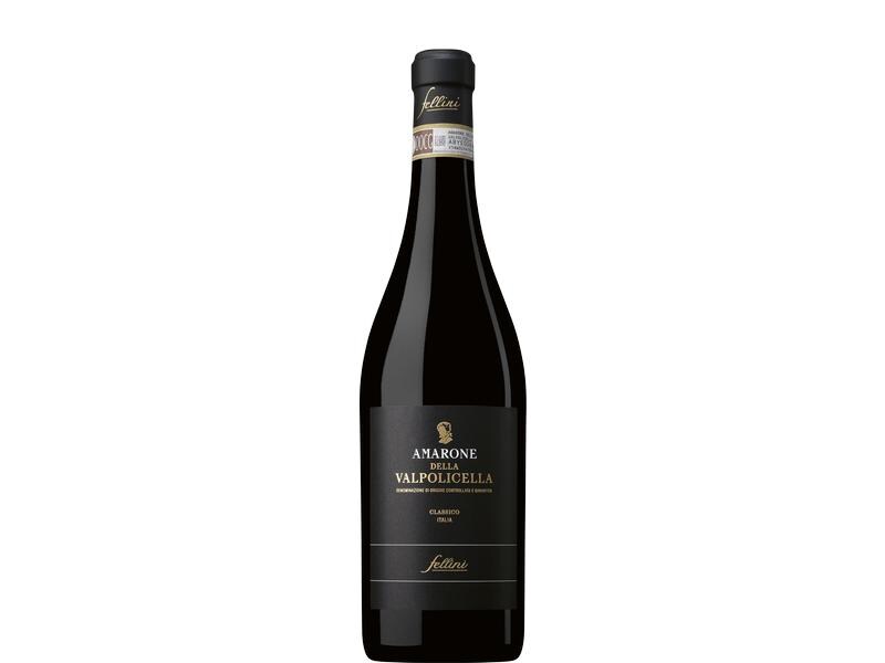 Selezione Fellini Fellini Amarone 0.75 l Aromatisch-würziger Rotwein aus Italien