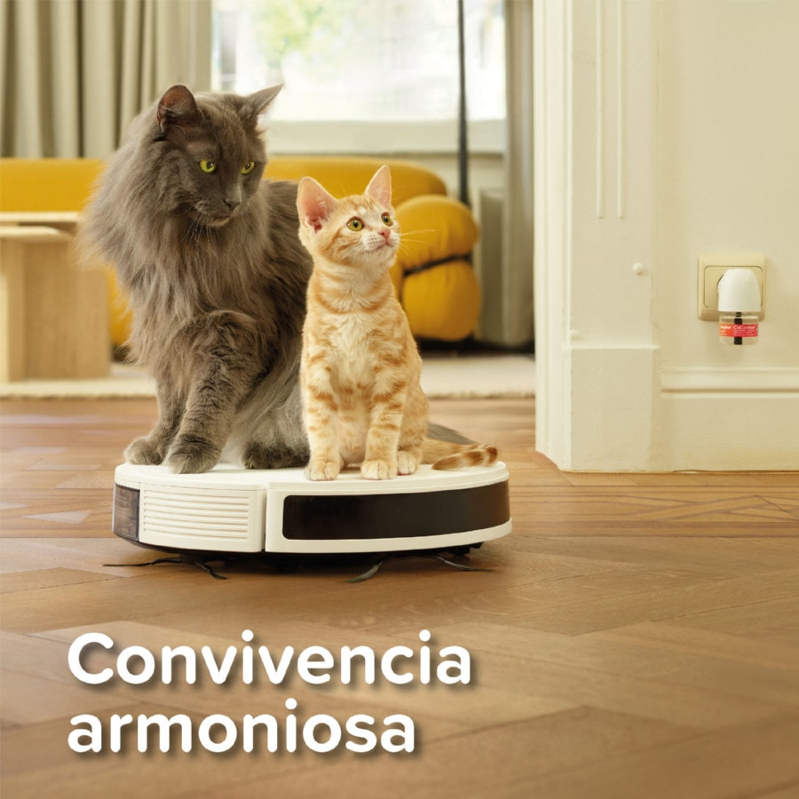 Difusor de feromônios Beaphar CatComfort Excellence para gatos