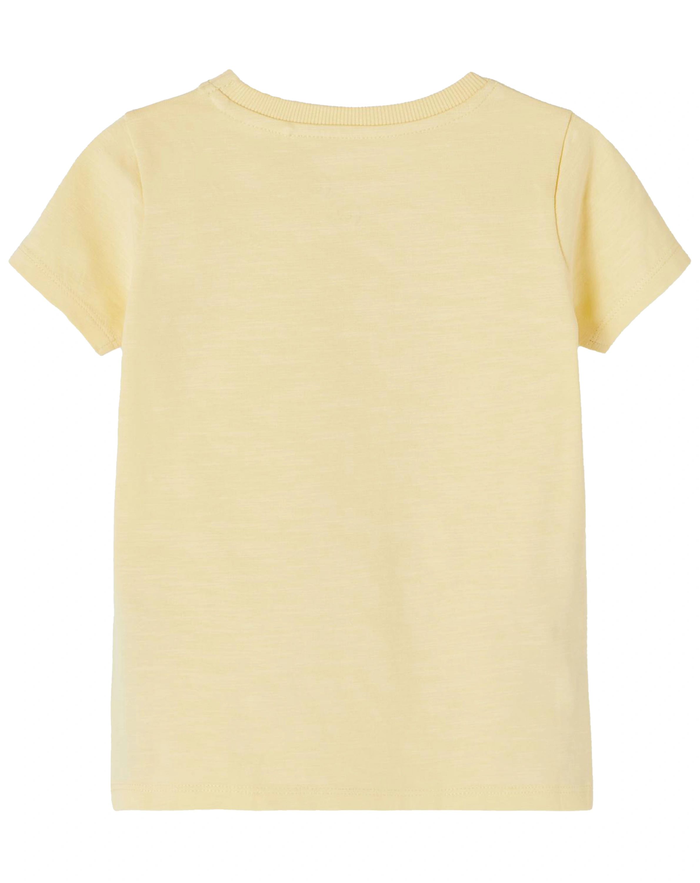 T-Shirt NMFJUSA in sunlight