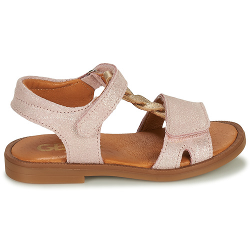 GBB - FARENA - Rose