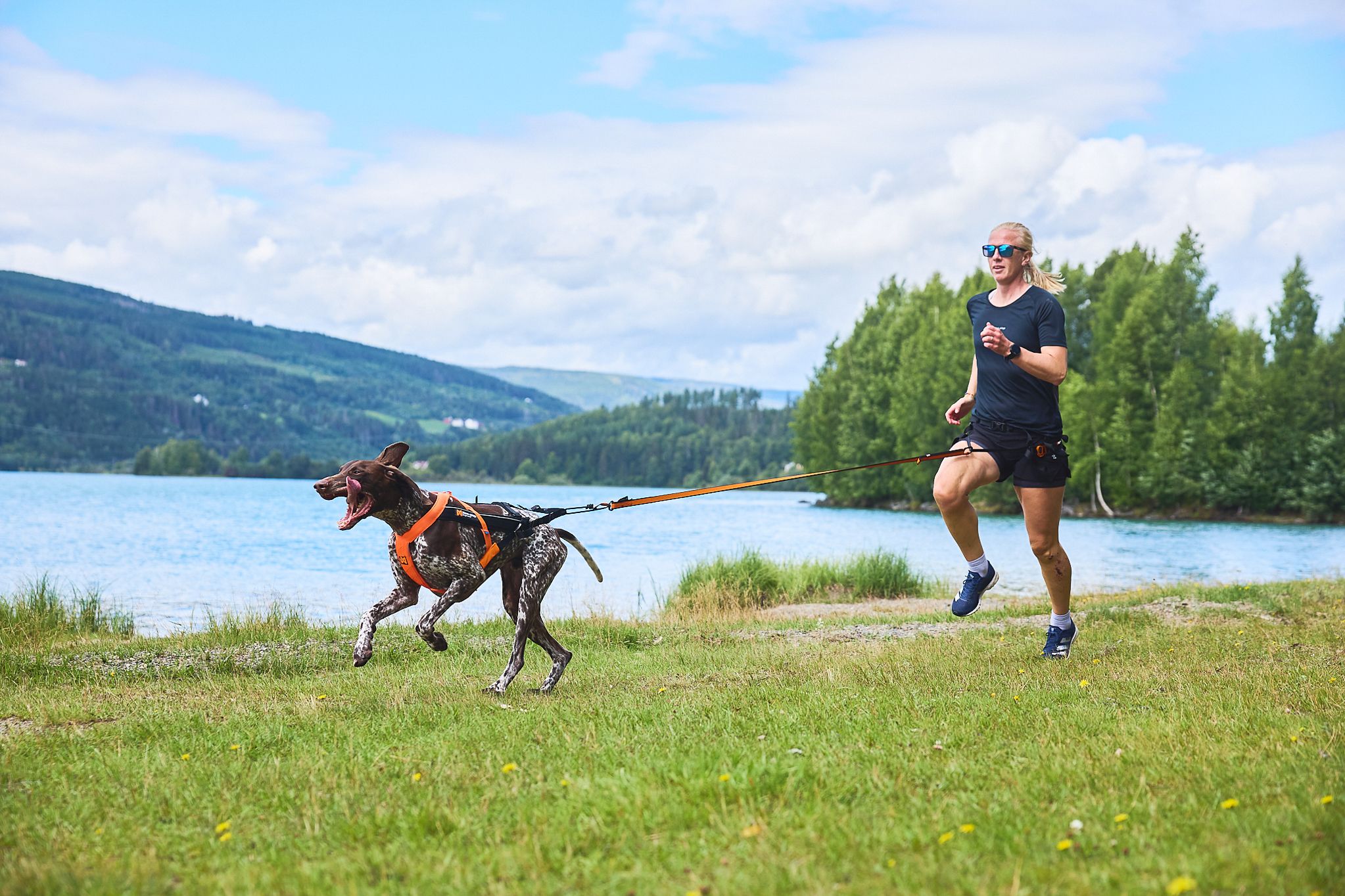Kjøp Non-Stop Dogwear Freemotion Harness 5.0 fra Hekta på tur her!