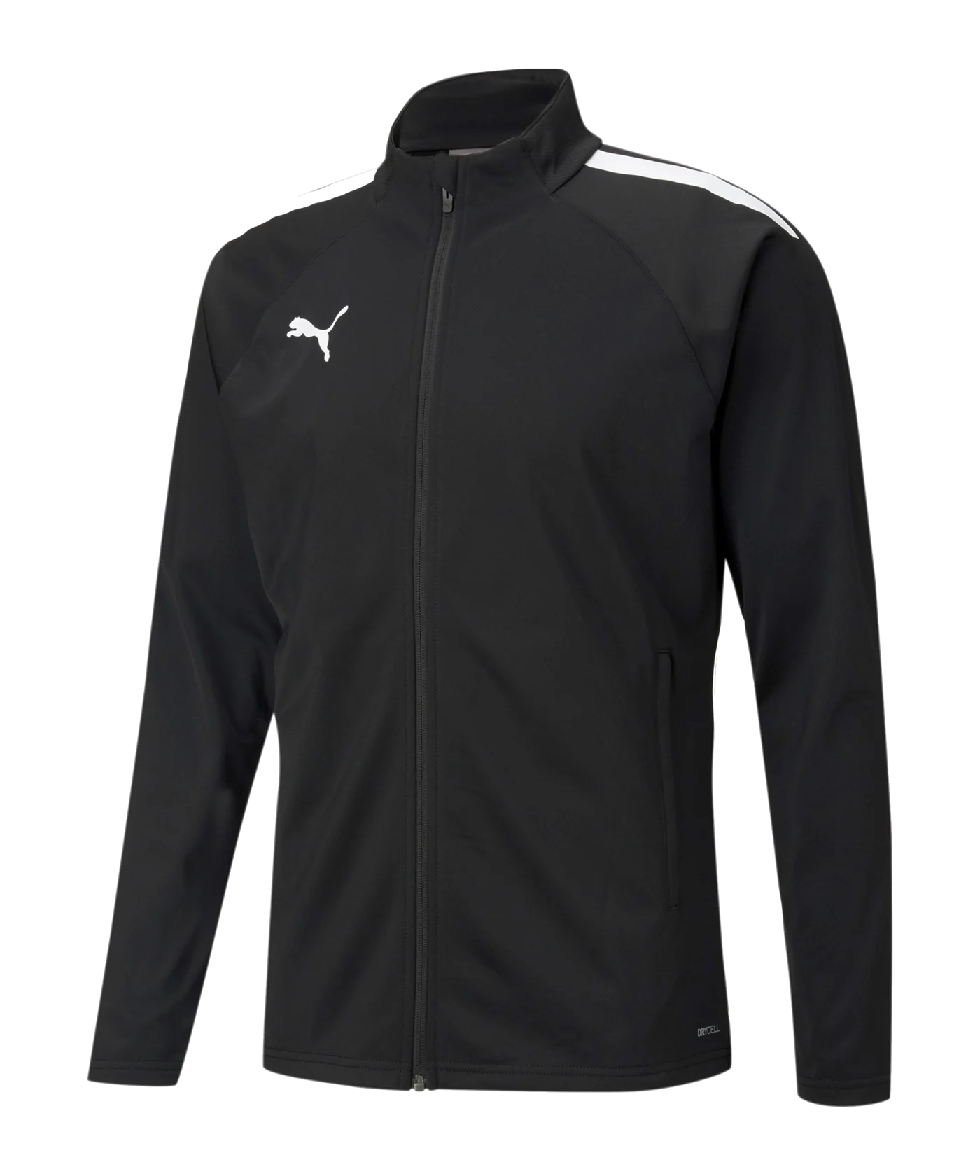 PUMA teamLIGA Trainingsjacke Schwarz F03