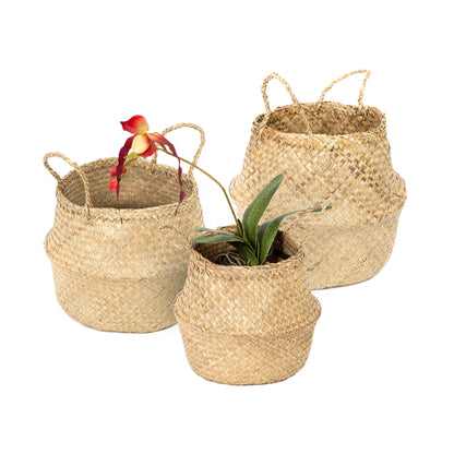 Lot de 3 paniers Belly