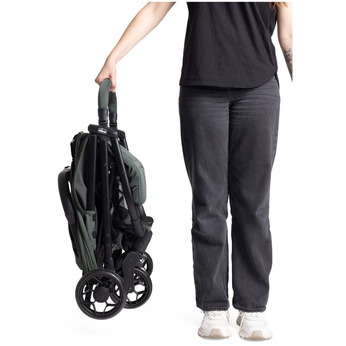 ChiccoChicco   Urbino evergreen