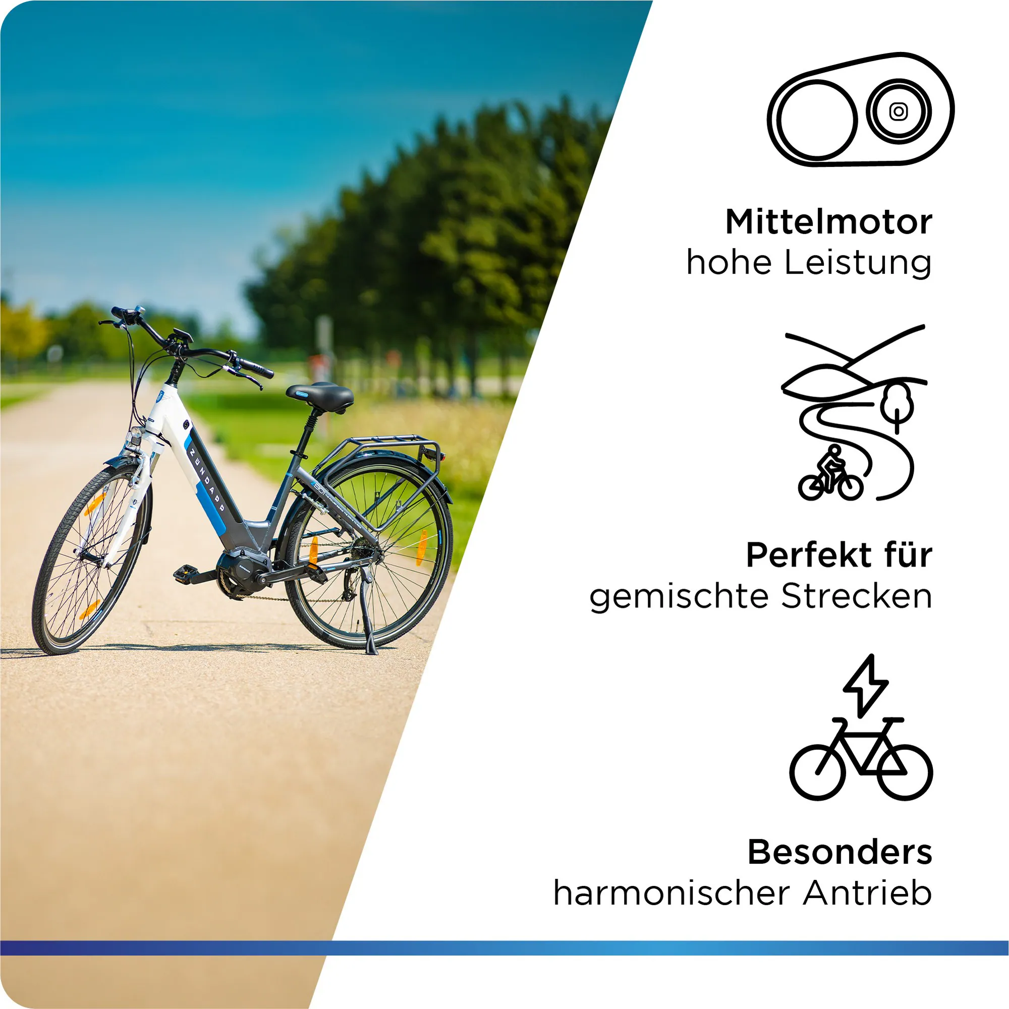 Zündapp Z901 E Bike Damen 28 Zoll 150 - 180 cm Pedelec Damenfahrrad City 7 Gang Elektrofahrrad Hollandrad Ananda E Fahrrad