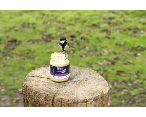 CJ Wildlife pindakaas wildvoer voor tuinvogels met meelwormen, 330 g in een pot, wintervoer voor vogels, jaarrond voer voor vogels, energievoer