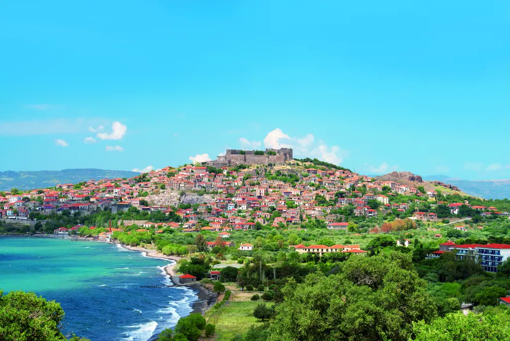 Excursiereis Lesbos Logies - Hotel