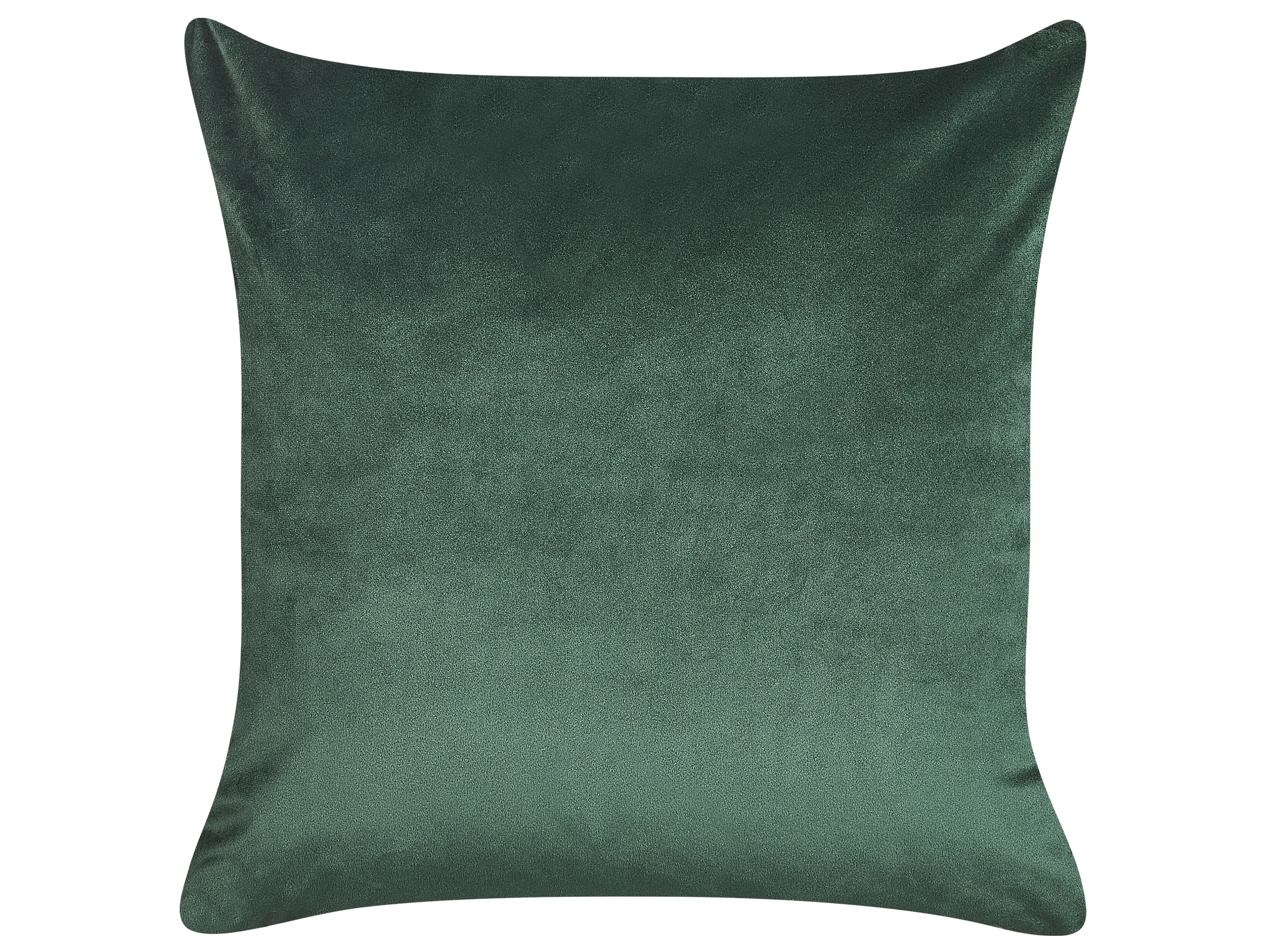 Set van 2 sierkussens PHILODENDRON Fluweel 45 x 45 cm Smaragdgroen abstract patroon
