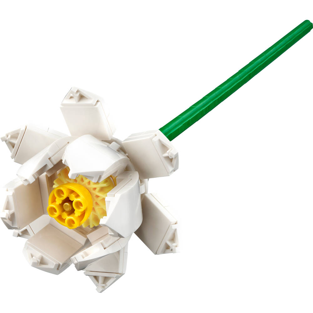 LEGO Botanicals lotusbloemen 40647