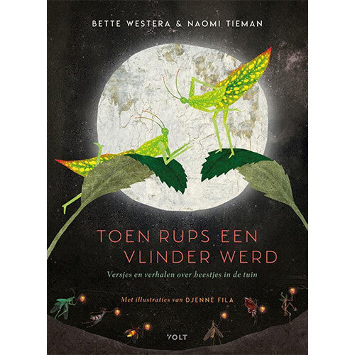 Uitgeverij querido toen rups een vlinder werd