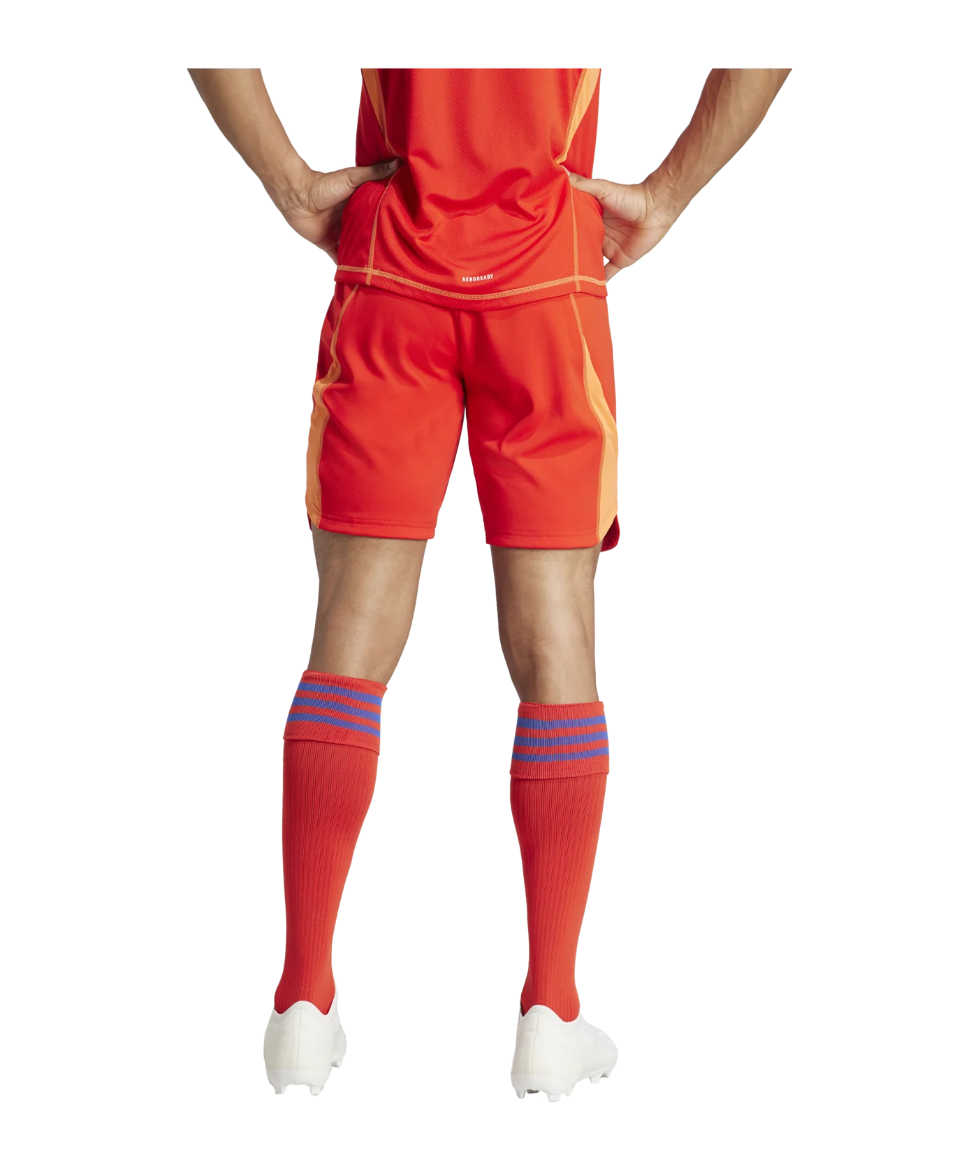 adidas Tiro 24 Pro Torwartshort Rot