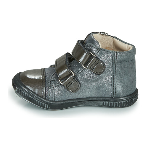 GBB - ODITA - Gris
