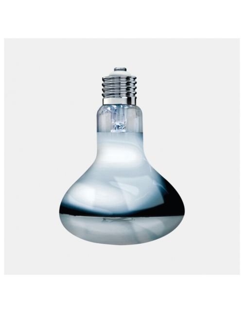 Arcadia 2nd Generation Uv Basking Lamp - Verwarming - 100 Watt