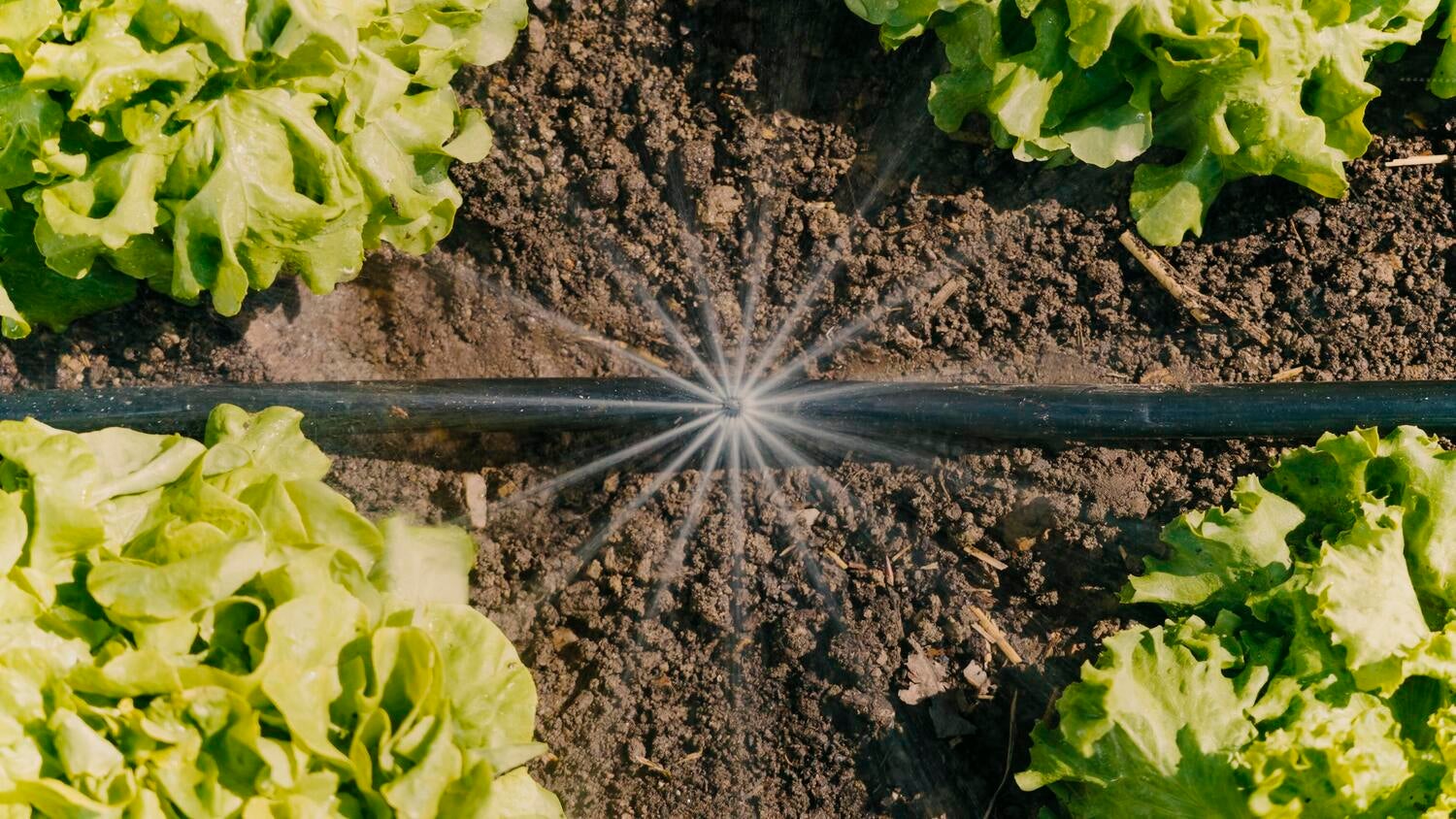 Gardena Micro Drip systeem sproeier 360А 5 stuks