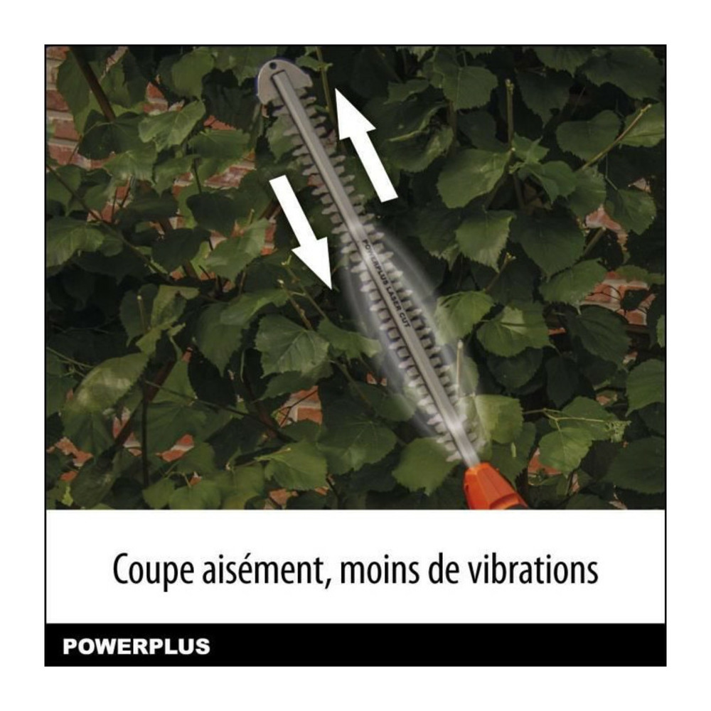 Taille-haies sur perche a batterie 40v dual power powdpg75380 - lame 600 mm, écartement 20 mm - livré sans batterie ni chargeu