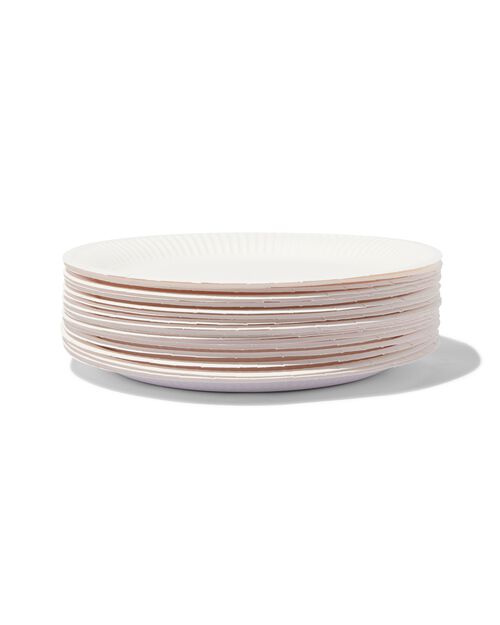 20 assiettes en carton Ø22.6 cm