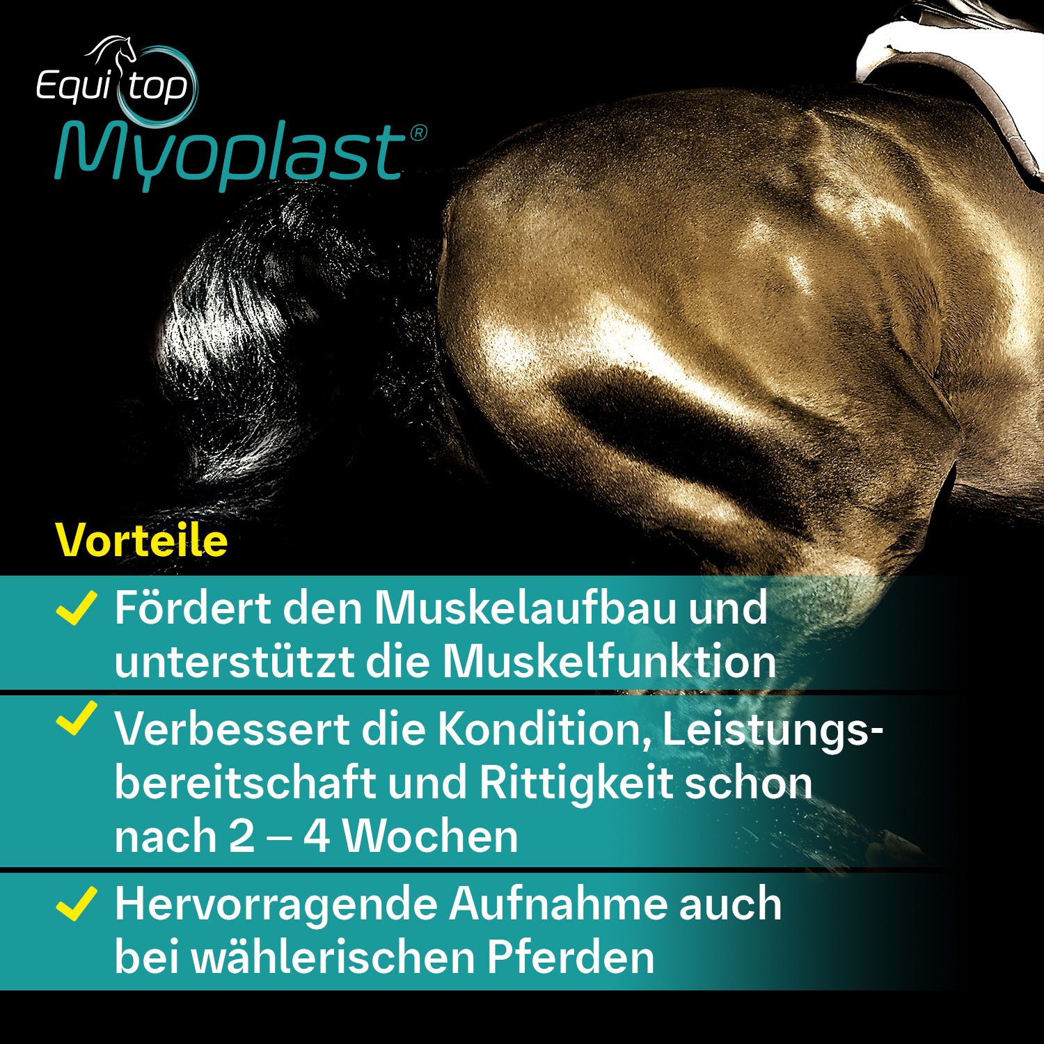 Equitop Myoplast Granulat