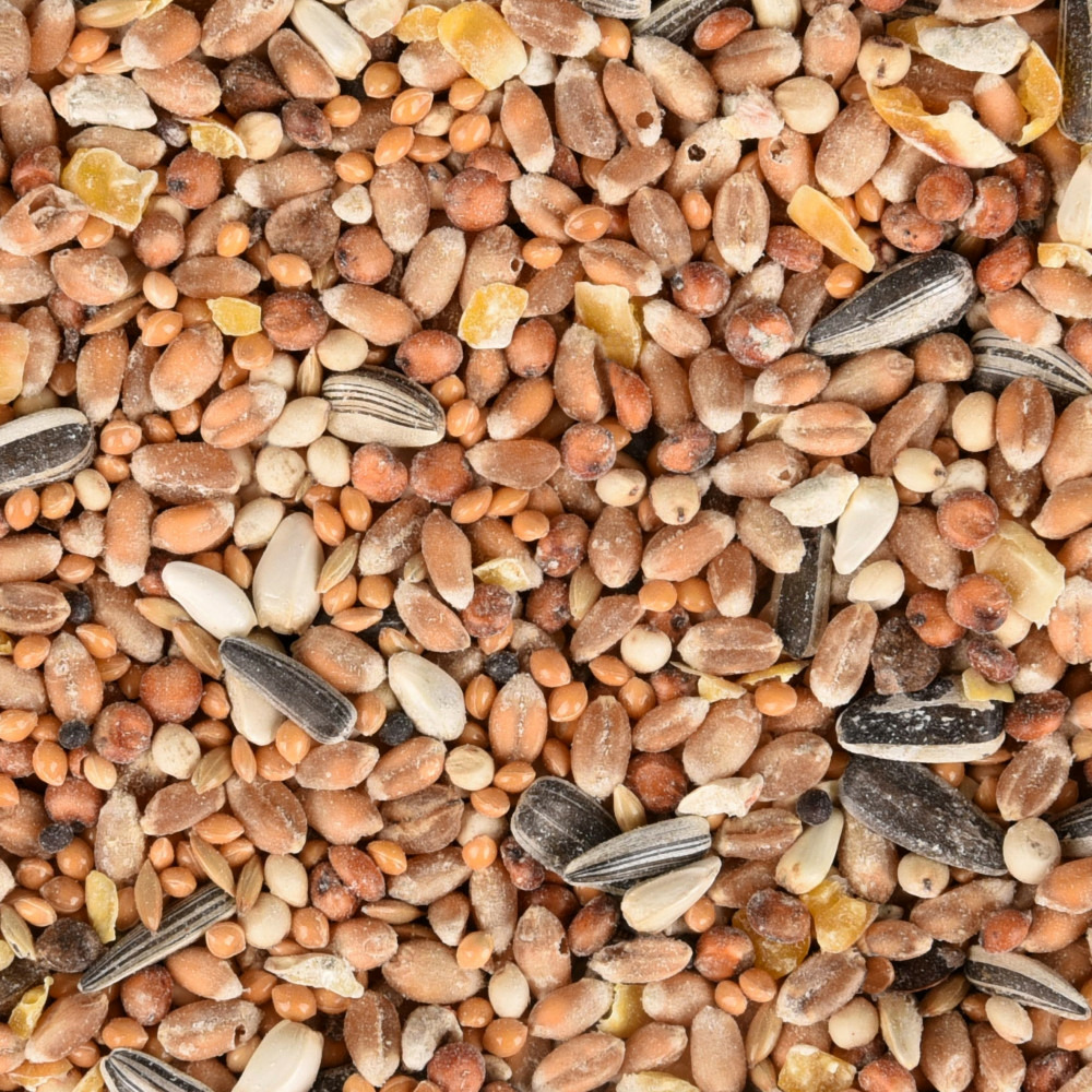 Mélange de graines toutes saisons pour oiseaux sac de 5 kg