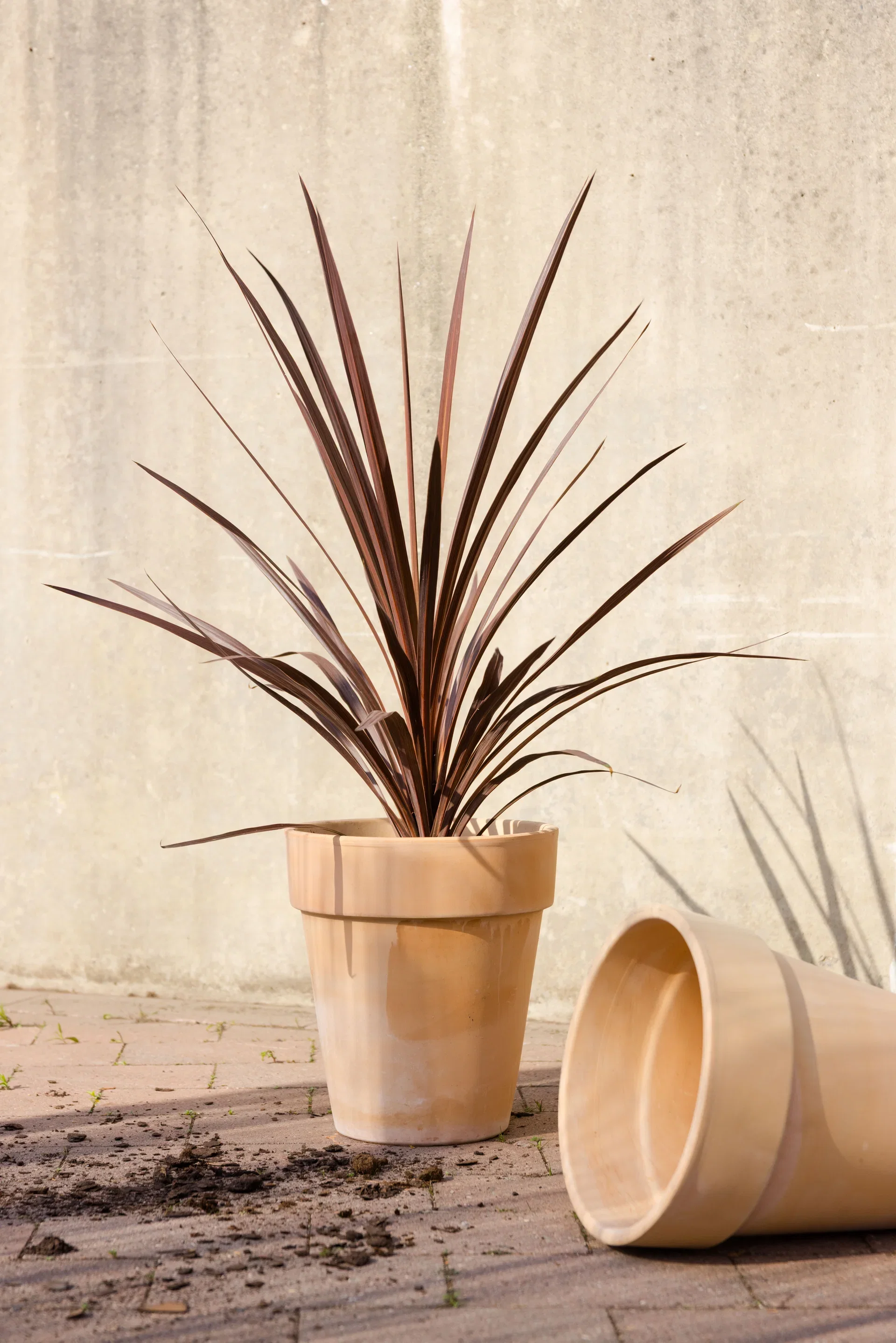 Potte Vaso Ø25 cm