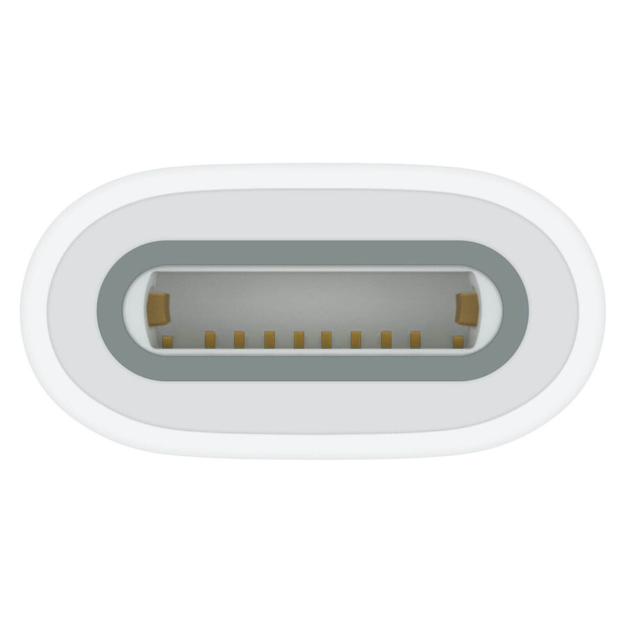 Apple Adaptateur USB-C pour Apple Pencil (MWML3ZM/A)