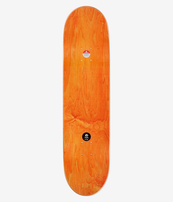 Magenta Cancan 8.125