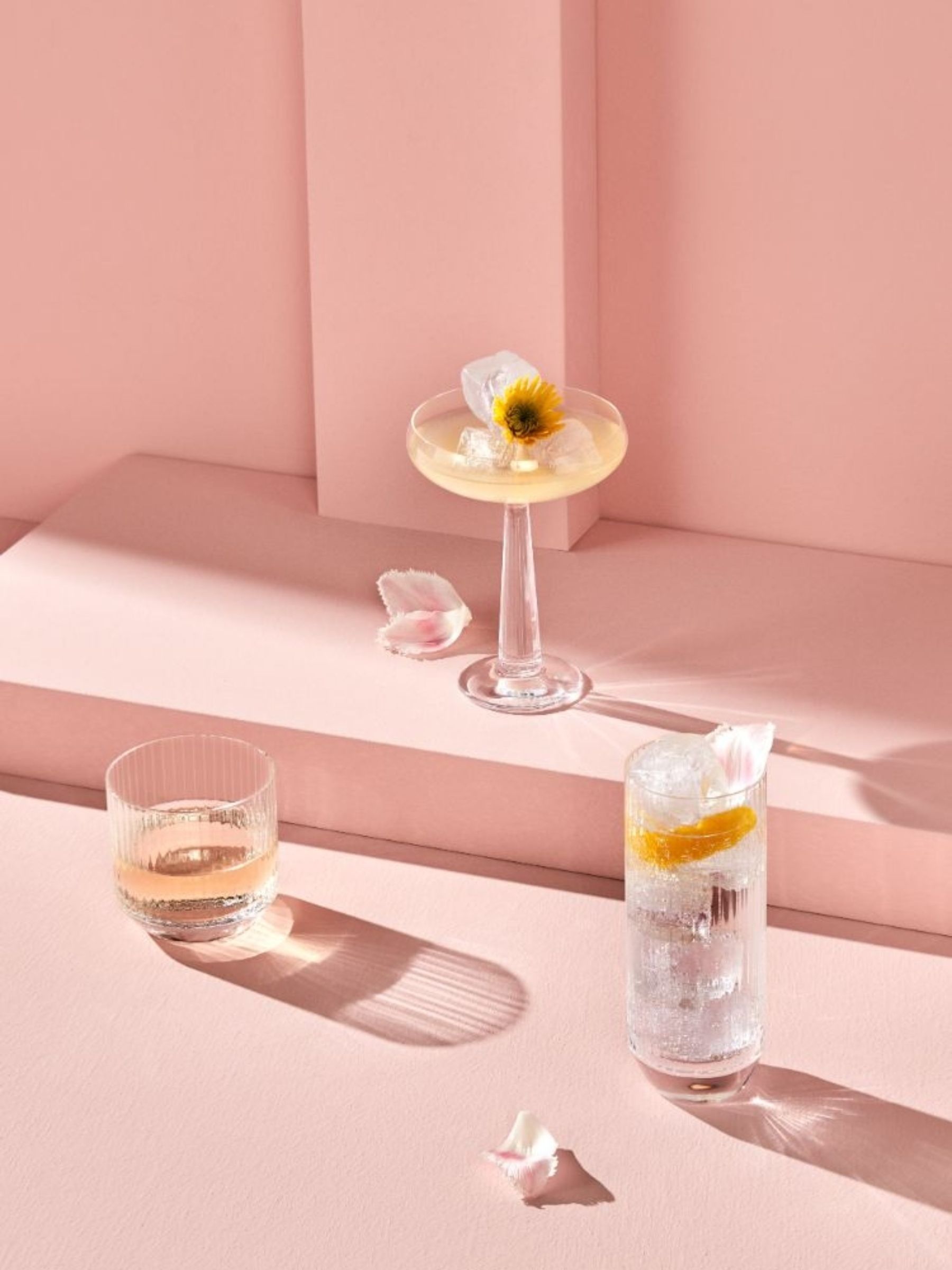 Nude Set of 2 Big Top Coupe Glasses