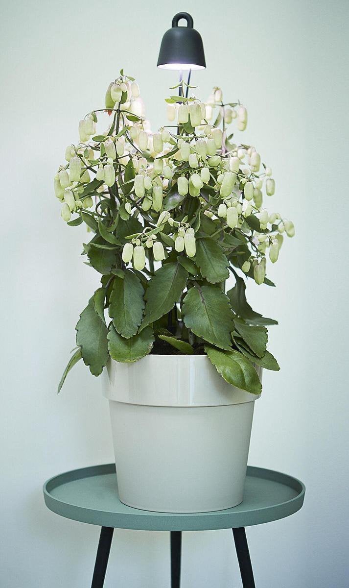 Elho kweeklamp zwart met wit Led verlichting 8 x 7 x 36 cm