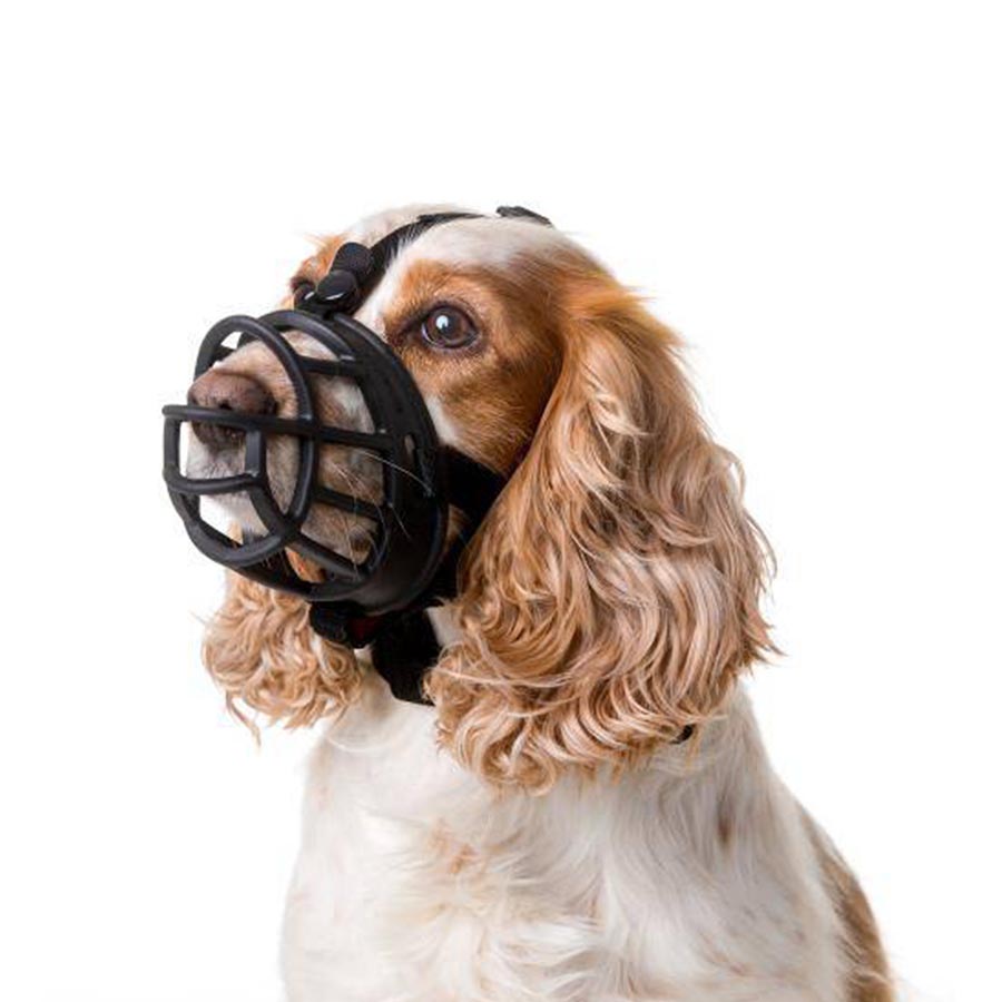 Focinheira Baskerville Ultra com Cesta para Cães