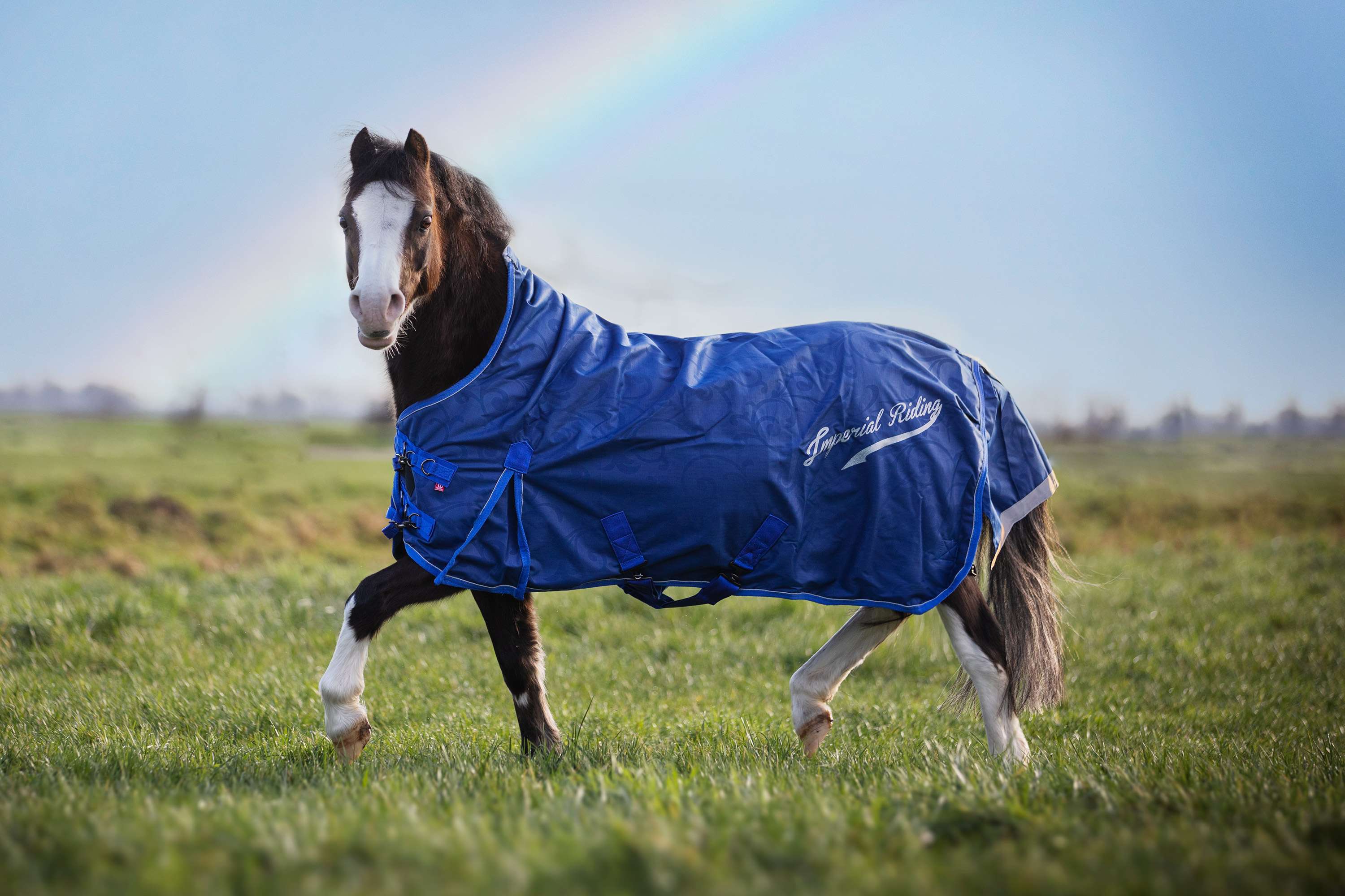 Imperial Riding Outdoordeken IRHSuper-Dry 100g Navy