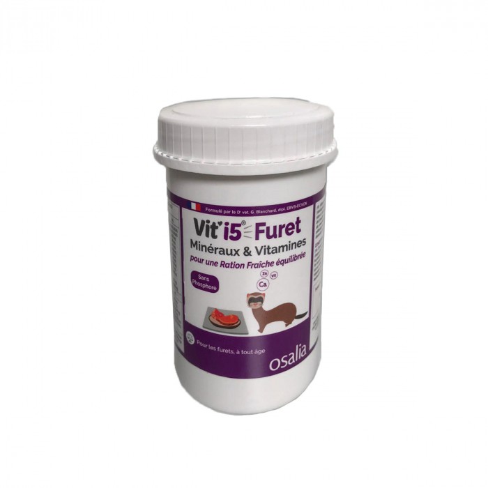 Violet - Furet de tout âge
