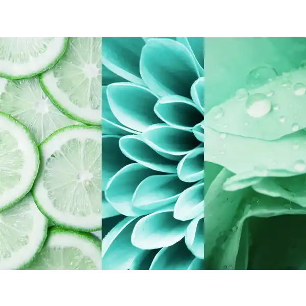 Deospray Fresh Lime