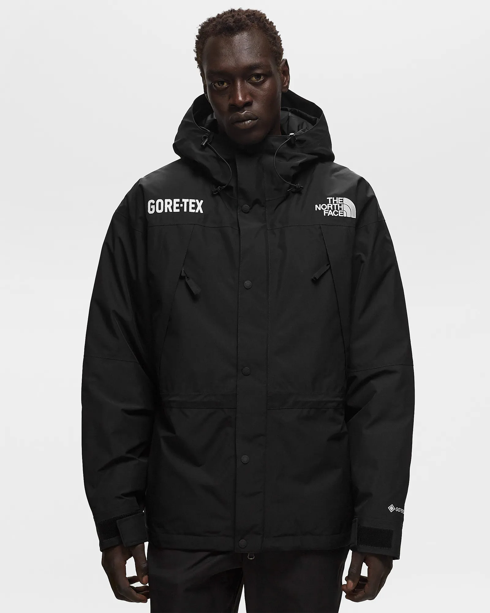 The North Face GTX Mtn Guide Insualted Jacket