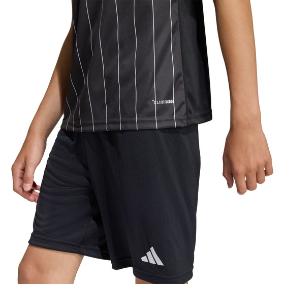 adidas Entrada 26 GFX Trainingsset