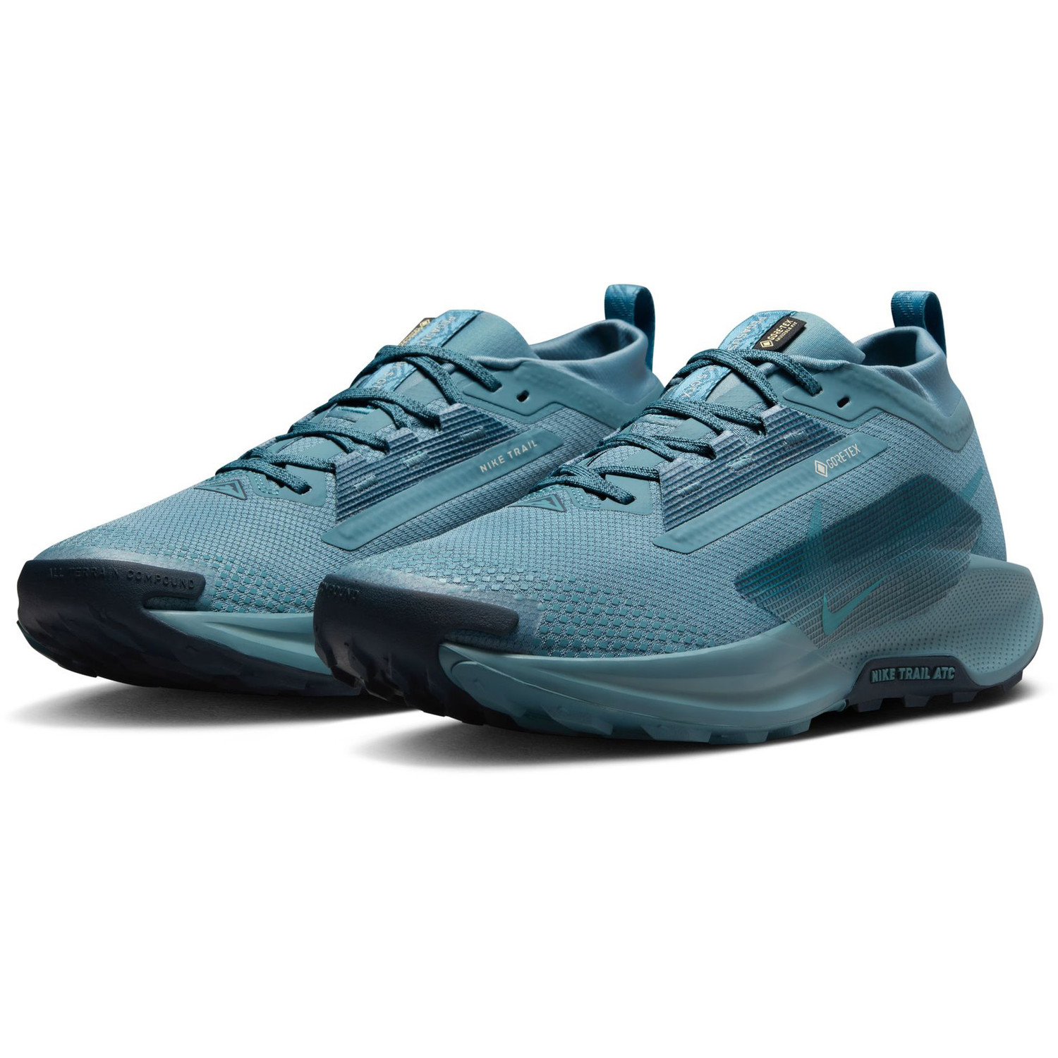 Nike Pegasus Trail 5 GTX Heren