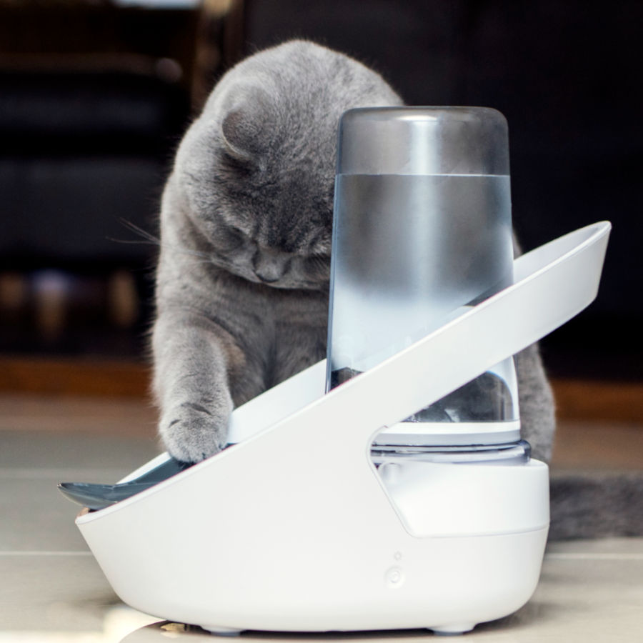 Dispensador de água automático Sure Petcare Felaqua Connect para gatos